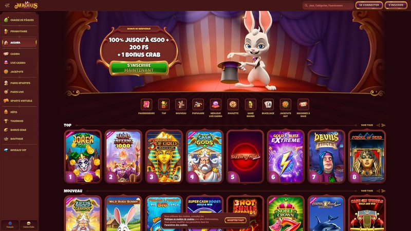 Ce que vous allez découvrir, magius casino connexion